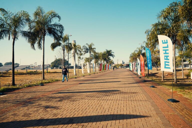 WhatsApp Image 2025-09-17 at 08.40.57